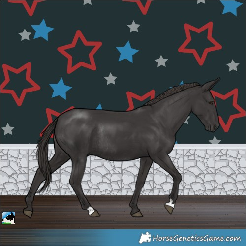 Horse Color:Platinum Liver Chestnut Rabicano
