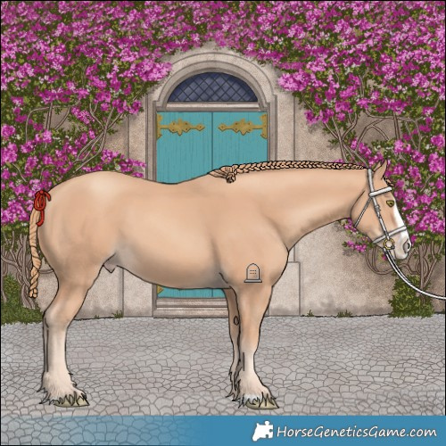 Horse Color:Gold Champagne Splash
