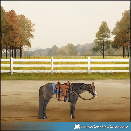 Horse Color:Buckskin Splash Rabicano 