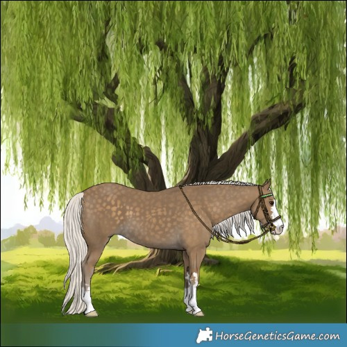 Horse Color:Silver Smoky Black 