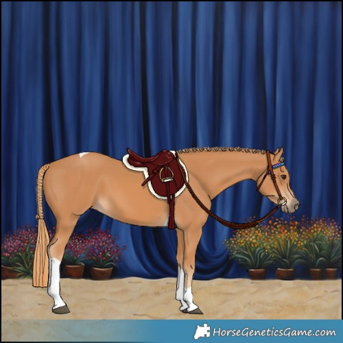 Horse Color:Chestnut Tobiano 