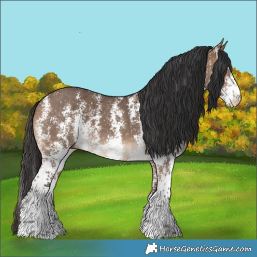 Horse Color:Bay Dun Sabino Brindle