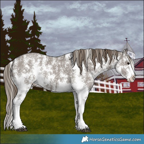Horse Color:Smoky Grullo Sabino Varnish 