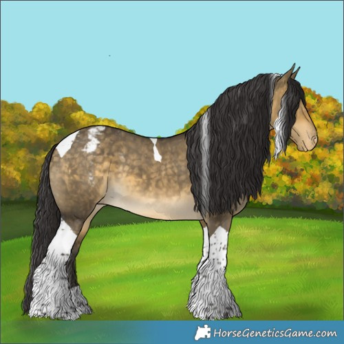 Horse Color:Buckskin Dun Tobiano Varnish 