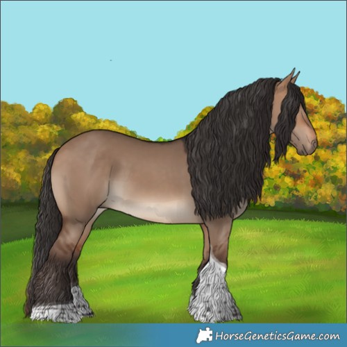 Horse Color:Bay Dun Tobiano