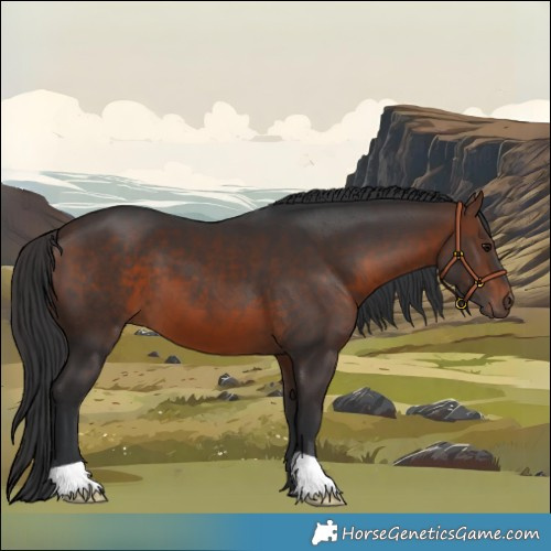 Horse Color:Brown 