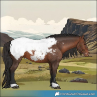 Horse Color:Brown Snowcap 