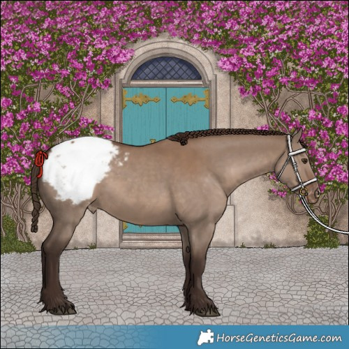 Horse Color:Liver Red Dun Snowcap 