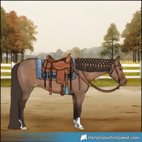 Horse Color:Liver Red Dun Varnish