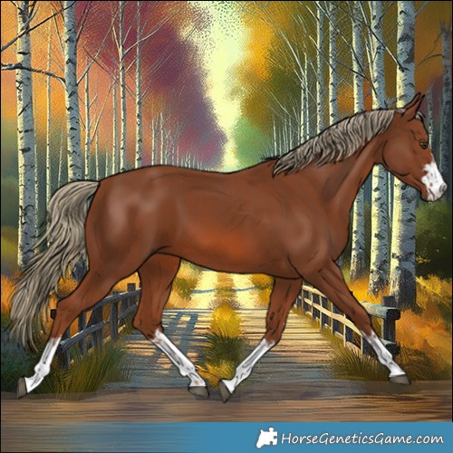 Horse Color:Chestnut and Chestnut
