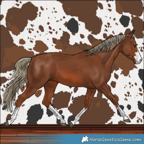 Horse Color:Chestnut  and Chestnut 