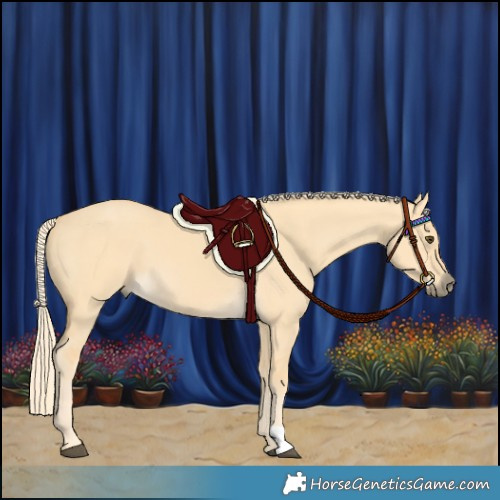 Horse Color:Palomino Dun 