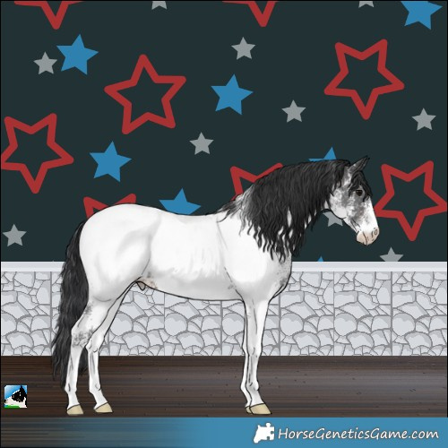 Horse Color:White Spotted Brown Near Fewspot Rabicano 