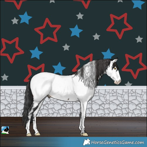 Horse Color:Brown Near Fewspot Rabicano