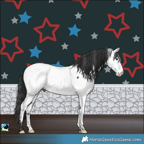 Horse Color:Brown Near Fewspot Rabicano 