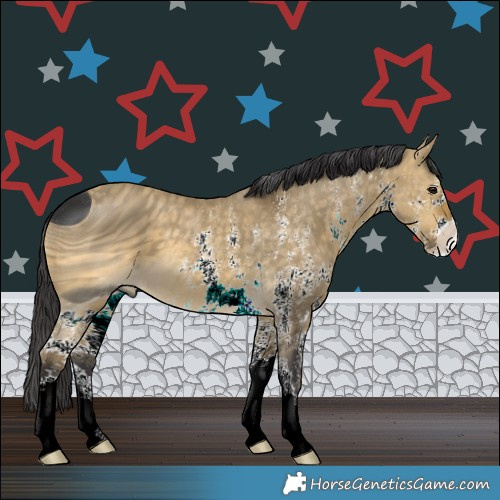 Horse Color:ERROR: UNKNOWN ANOMALY