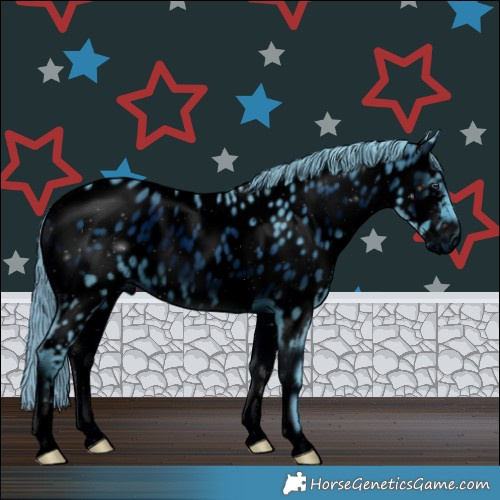 Horse Color:ERROR: UNKNOWN ANOMALY