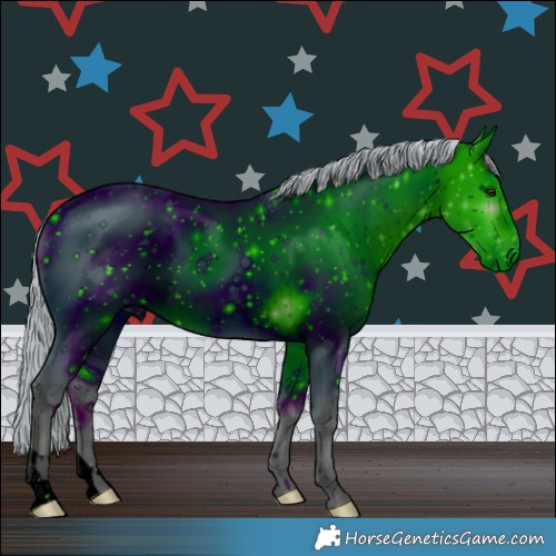 Horse Color:ERROR: UNKNOWN ANOMALY