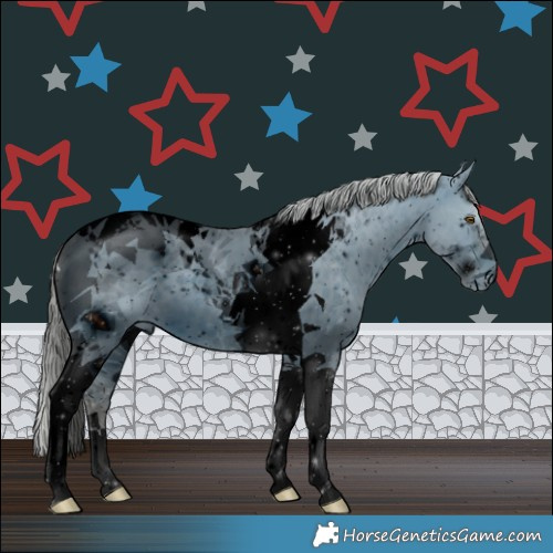 Horse Color:ERROR: UNKNOWN ANOMALY