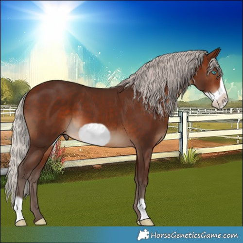 Horse Color:Silver Brown Frame 