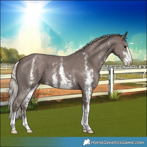 Horse Color:Silver Black Sabino