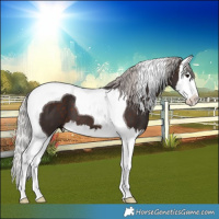 Horse Color:Silver Brown Splash Tobiano 