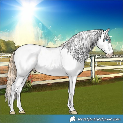 Horse Color:Bay Snowdrop Pearl Sabino Varnish Rabicano 