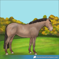 Horse Color:Amber Champagne 