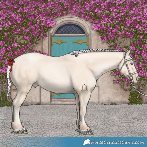 Horse Color:Silver Amber Cream Champagne Pearl 