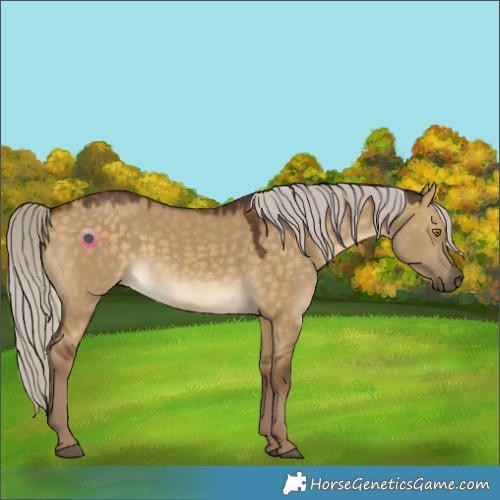 Horse Color:Chocolate Silver Buckskin Dun