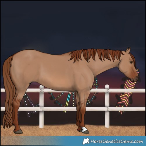 Horse Color:Red Dun 