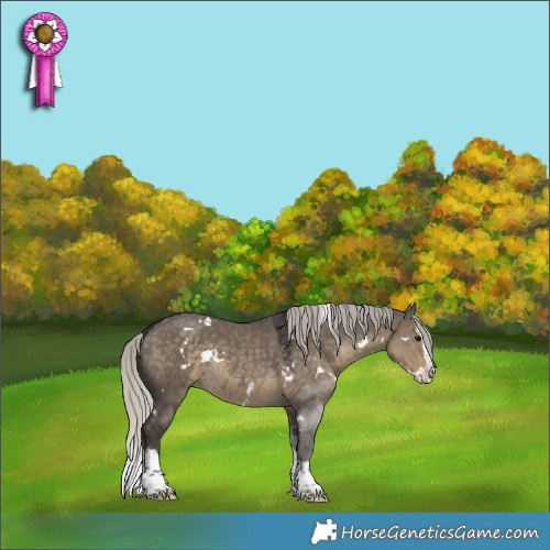 Horse Color:White Spotted Silver Smoky Grullo Splash 