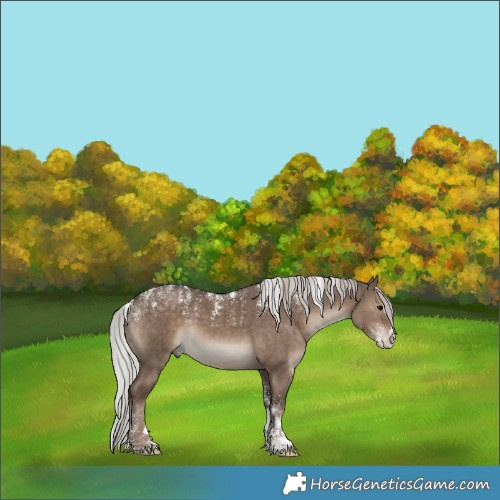 Horse Color:Powder White Silver Grullo Splash Brindle
