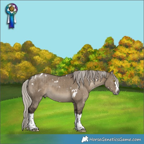 Horse Color:Powder White Gray White Spotted Silver Grullo Splash Brindle