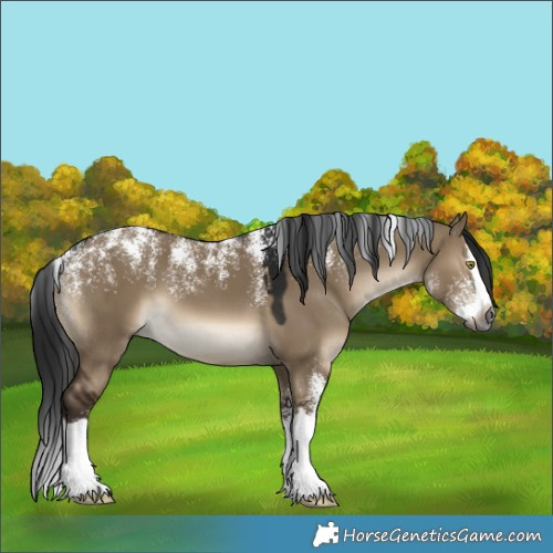 Horse Color:Powder White Gray Brown Dun Splash