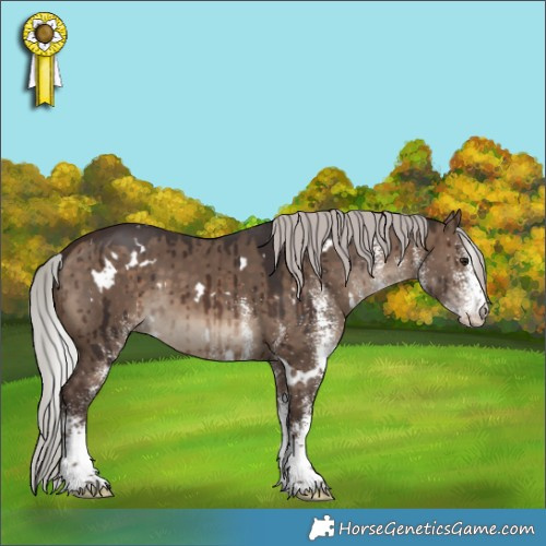 Horse Color:White Spotted Silver Brown Dun Brindle