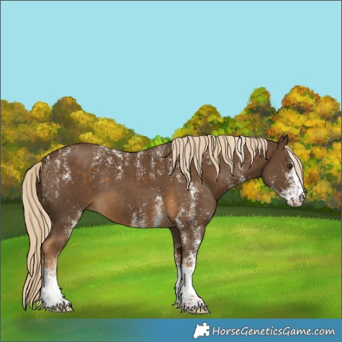 Horse Color:Powder White White Spotted Chocolate Palomino Rabicano