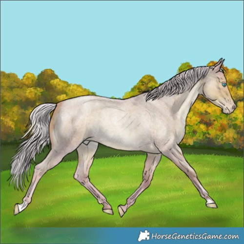 Horse Color:Watercolor Silver Smoky Blue Roan Pearl 