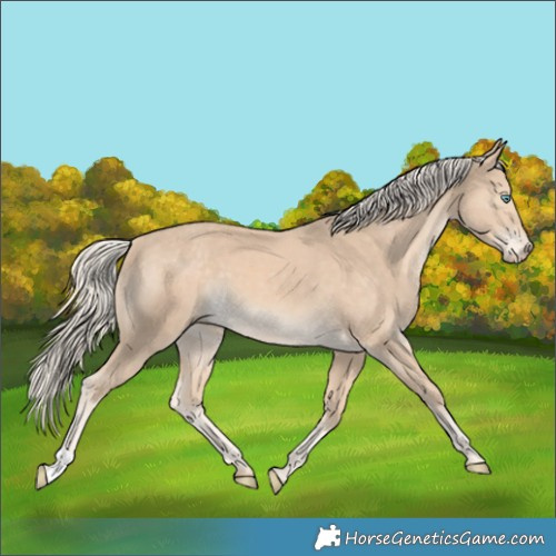 Horse Color:Cremello