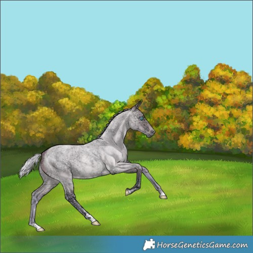 Horse Color:Watercolor Silver Buckskin Ice Roan Pearl Dun 