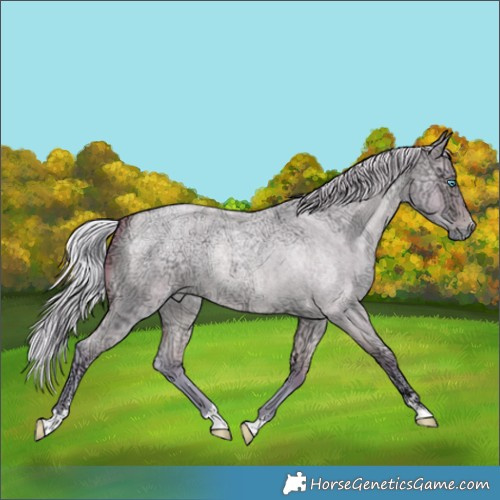 Horse Color:Watercolor Silver Buckskin Ice Roan Pearl Dun 