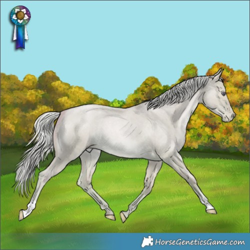 Horse Color:Watercolor Silver Smoky Grullo Chinchilla Roan Pearl 
