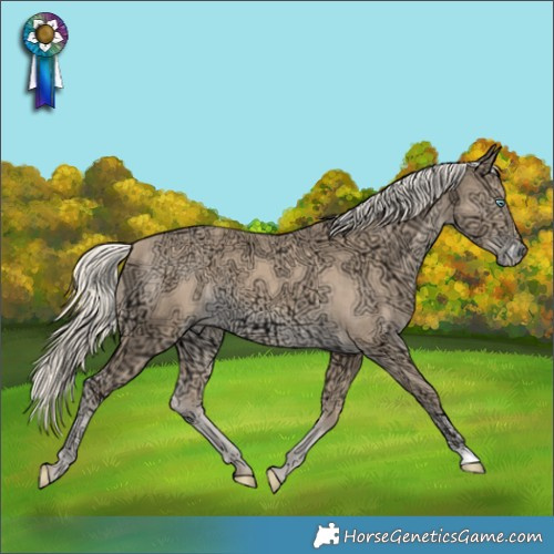 Horse Color:Cremello Ice 