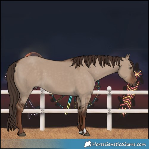 Horse Color:Liver Red Dun Rabicano 