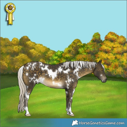 Horse Color:White Spotted Silver Buckskin Mushroom 