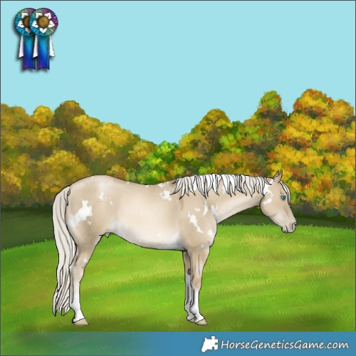 Horse Color:White Spotted Silver Smoky Grullo Pearl Tobiano Rabicano