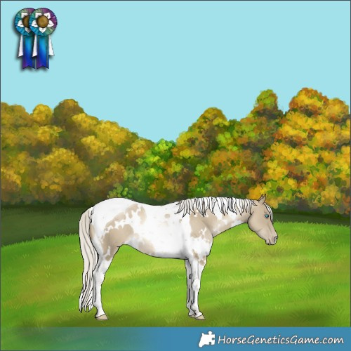 Horse Color:White Spotted Silver Smoky Black Pearl Tobiano Rabicano