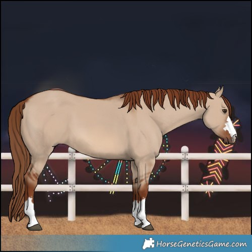 Horse Color:Red Dun