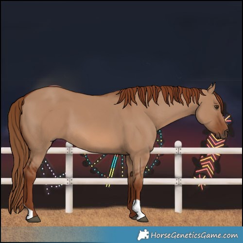 Horse Color:Red Dun
