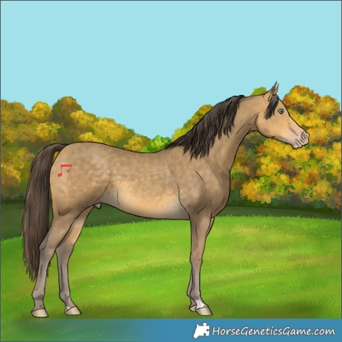 Horse Color:Sable Cream Champagne 